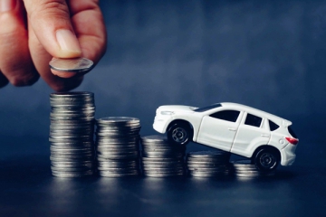 Market-price-fluctuations