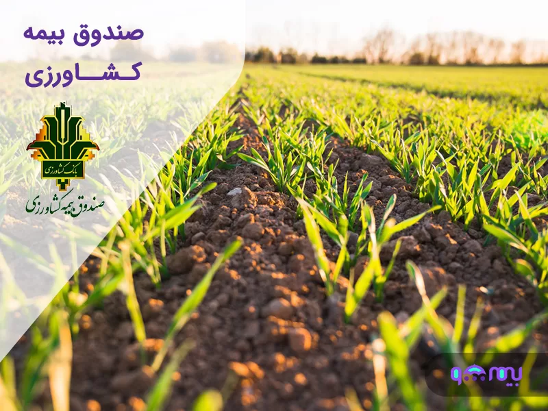 صندوق بیمه کشاورزی