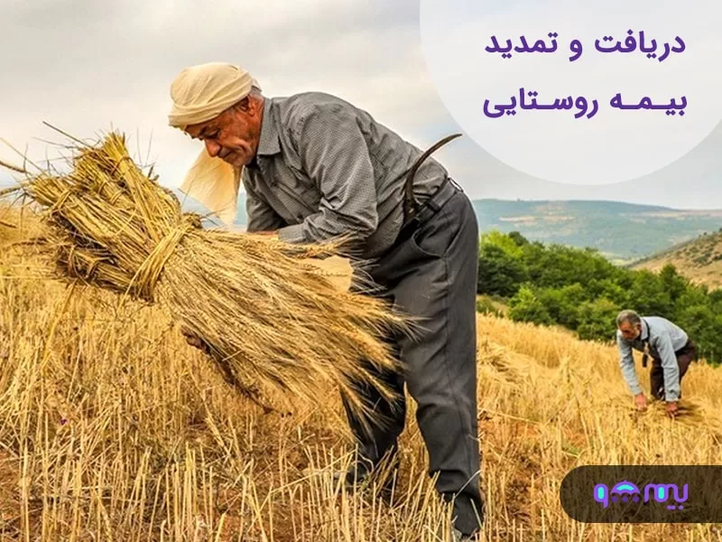 بیمه روستایی